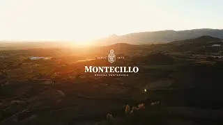 As&iacute; fue la vendimia 2023 de Bodegas Montecillo en Rioja