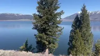 Video of Henry's Lake BLM Dispersed, ID from Josh G.