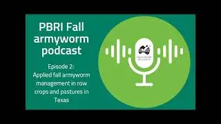 PBRI Fall Armyworm podcast EP2: Applied fall armyworm management in row crops and pastures in Texas