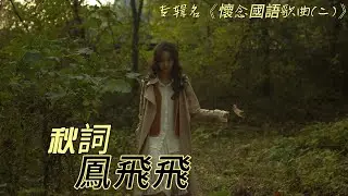 鳳飛飛-秋詞『秋天，陽光溫暖，如詩如畫，願這抹金黃給你帶來無盡的溫馨與美好。』#老歌经典 #經典歌曲 【動態歌詞 Lyrics】
