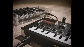 Night mood (Korg NTS-1, PO-33, PO-35)