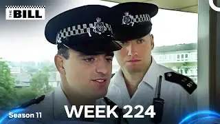 WEEK 224 | Episodes 85-87 | The Bill 1995 (Season 11)