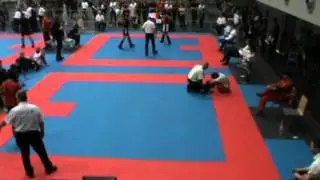 Georgian Cimpeanu Austrian Classics 2015 Kickboxing Team Lanzilao