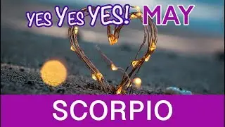 SCORPIO ❤️NOW YOU ARE IN YOUR INTEGRITY! May 2019 - LOVE READING