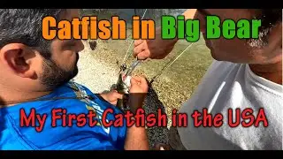 Fishing, Camping & Grilling at Big Bear Lake | Peaceful Nature Adventure in California