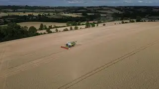 2025 Harvest in the Cotswolds