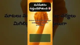 మనిషితనం గుర్తుండిపోతుంది 🌸 ❤️ | One Picture, One Life Lesson - 16 #telugumotivationalquotes