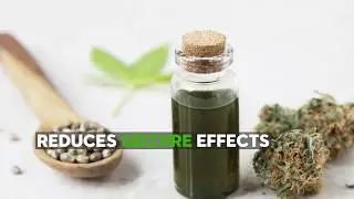 CBD Oil-The Benefits of CBD Oil and how to start an online business intime for the green rush
