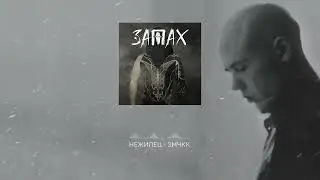 Nezhiletz - ЗМЧКК (2025)