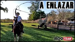 Aprendiendo a enlazar desde el caballo