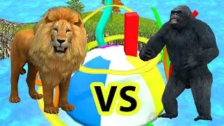 Long Slide Game with  Rat, Rabbit, Duck, Chicken, Cat and Dog | 3d Animal Game