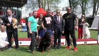 CACIB STARA PAZOVA 2019.