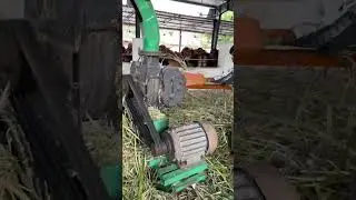 Grass cutting Machine