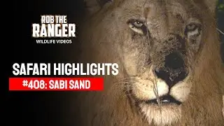 Safari Highlights #408: 11 - 14 May 2016 | Sabi Sand Nature Reserve | Latest #Wildlife Sightings