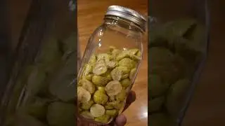 Prepper Freeze Drying - Grapes!