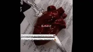 QoRa YuRak