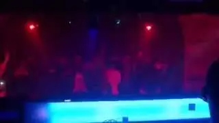 Rosapark im Nachtwerk Karlsruhe