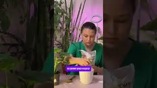 Артикул 480148443.