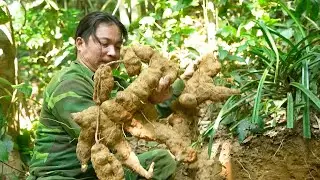 Harvesting Wild Herbs And Fishing For Survival Alone In The Mountains