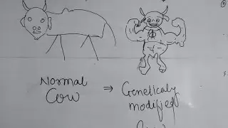 Genetically modified Animals#biotechnology