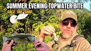 RIver Smallmouth Bass Fishing Tactics | Evening Top Water