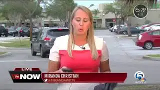 Security concerns in Boca Raton shopping center after purse snatching incidents
