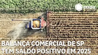 Balan&ccedil;a comercial de SP tem saldo positivo em 2025