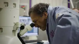 Soaking up oil spills with sponges