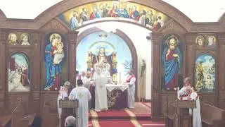St. Mary & St. Mark Coptic Church Live Stream