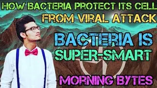 Restriction Modification System | Bacteria खुद को Virus/Phage से कैसे बचाता है? Morning Bytes