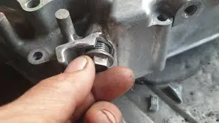 Sử lý ốc tăng cam bị bể