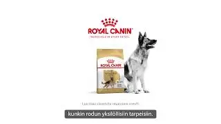 Royal Canin Breed Health Nutrition German Shepherd