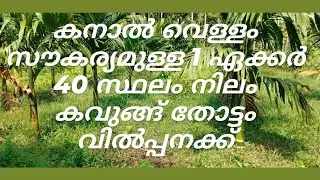 #86# 1 ഏക്കർ 40 സെന്റ് സ്ഥലം കവുങ്ങ് തോട്ടം പാലക്കാട് ജില്ല ഒറ്റപ്പാലം കടമ്പഴിപ്പുറം ഭാഗം