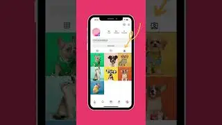 Launch a hashtag campaign with Spotlight