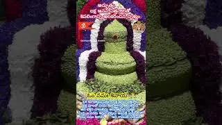 అద్భుతం 🙏 లక్ష అనప విత్తనాలతో శివలింగాన్ని అలకరించిన దృశ్యం #MiracleShiv #VegetableShivLing #Divine