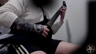 OMNIUM GATHERUM - Skyline guitar playthrough