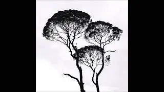 V SAINTANIC - life on earth