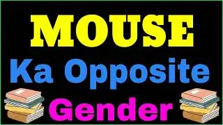 Mouse ka opposite gender | Mouse ka opposite word | opposite gender of Mouse
