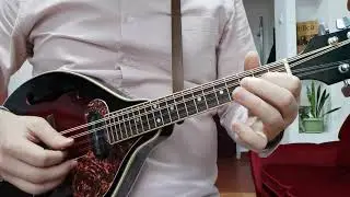 Poporașul Meu | tutorial mandolină (solistică + armonie/pe acorduri)