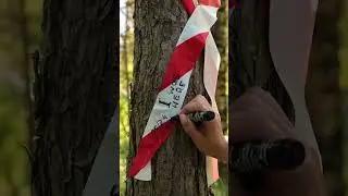 Kampeer- en overlevingstips 🏕️