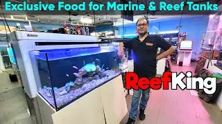ReefKing I Exclusive Food for Marine & Reef Tanks at Utekar Fisheries