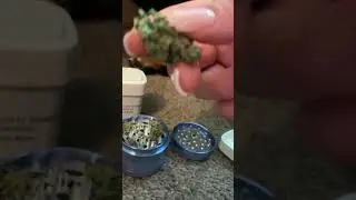 ASMR- &ldquo;Try My New Grinder With Me&rdquo;