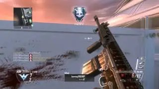 Reg Gun Clip Weird THSF