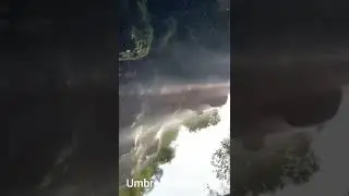 umbrella  water  fall#youtube shorts