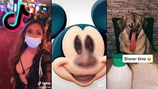 ULTIMATE TIK TOK CRINGE MEMES #251
