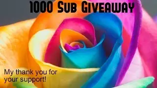 Giveaway winner!!