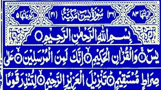 Surah Yaseen Surah Ar Rahman reaction video | #yaseenrecitation #quranrecitation