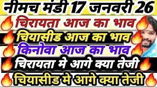 नीमच मंडी भाव। चिया का भाव। किनोवा का भाव। चिरायता कालमेघ का भाव। Neemuch Mandi bhav today chirayata