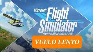 VUELO LENTO EXPLICADO PASO A PASO | TUTORIAL DE ENTRENAMIENTO | MFS 2020