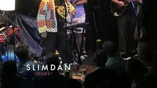 SlimDan - Vines *NEW SONG*